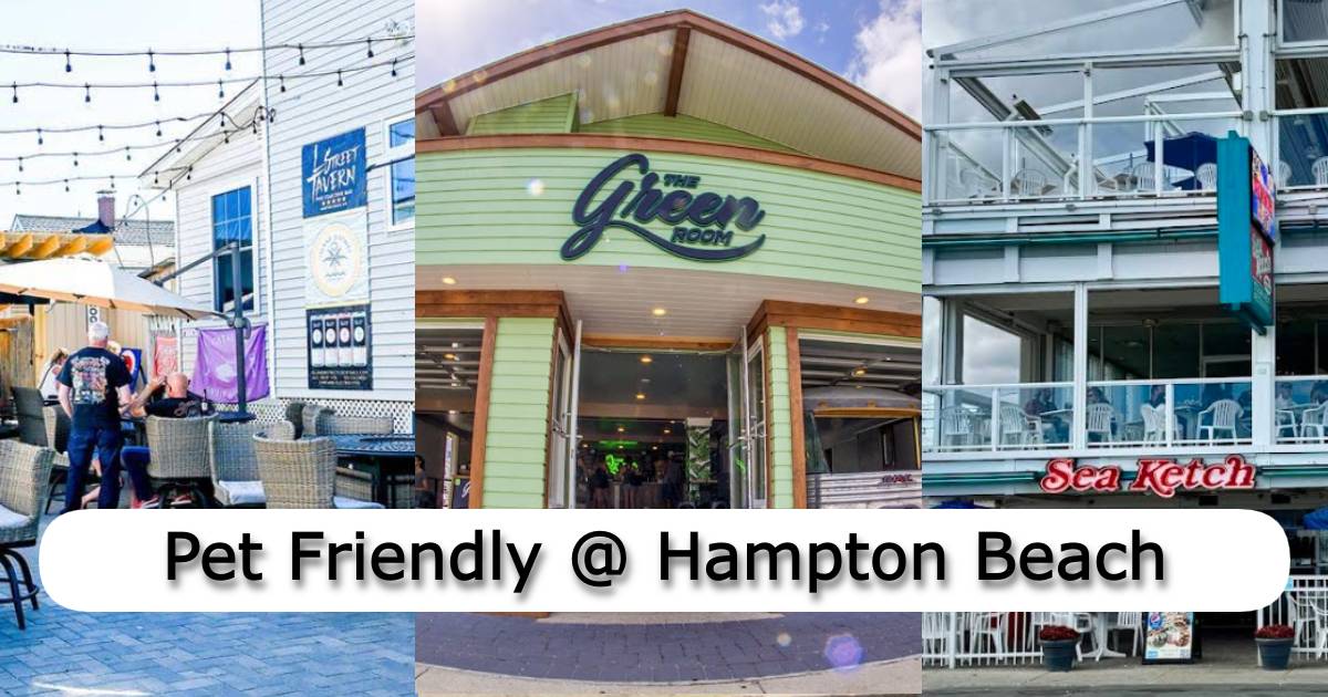 Pet Friendly Rentals Hampton Beach
